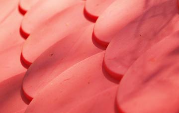 Dunkeswell plastic roof costs