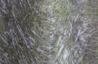 Dunkeswell fibreglass roof work